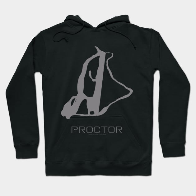 Proctor Resort 3D Hoodie by Mapsynergy